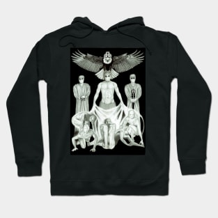 The Royal Cult of Surgeons: Creating New Surgeons Hoodie